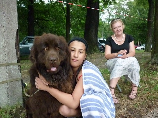 Фотография № 72856