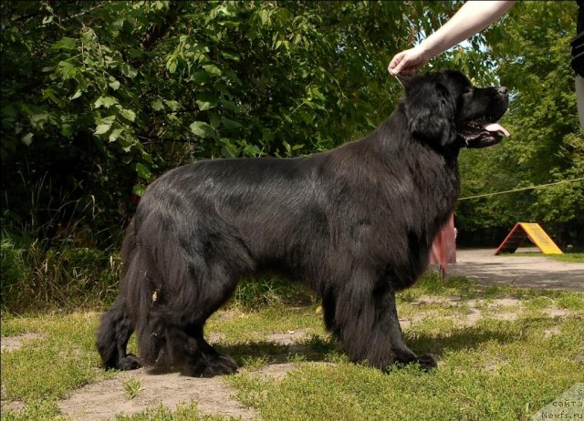 Фотография № 72875