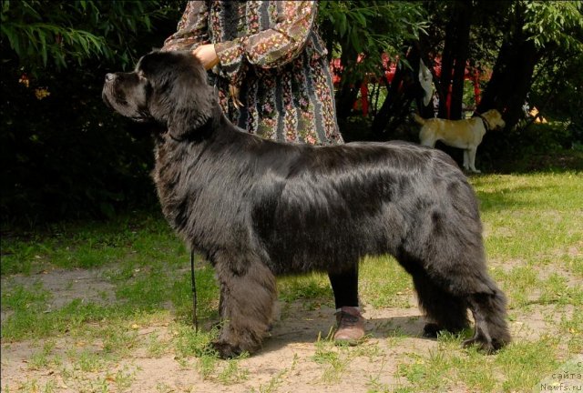 Фотография № 72899