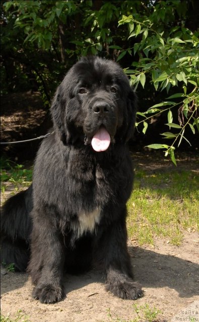 Фотография № 72909