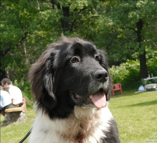 Фотография № 72921