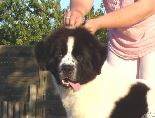 Фотография № 72929