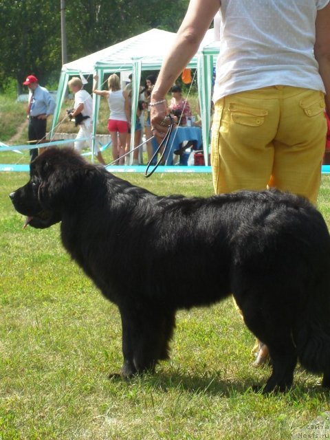 Фотография № 72950