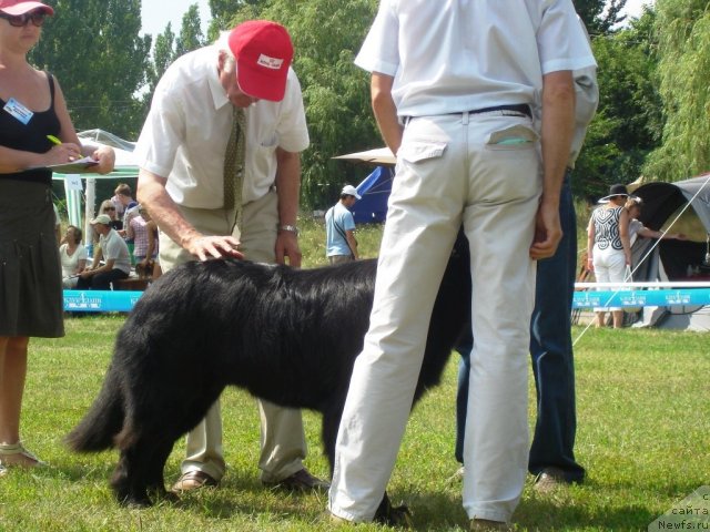 Фотография № 72951