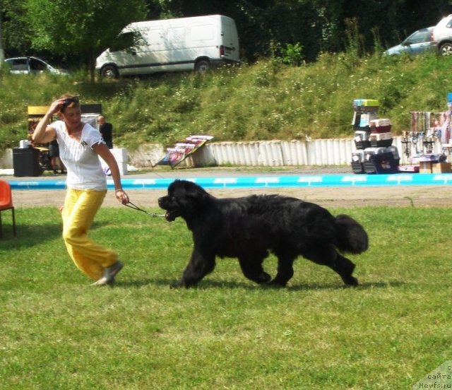 Фотография № 72958