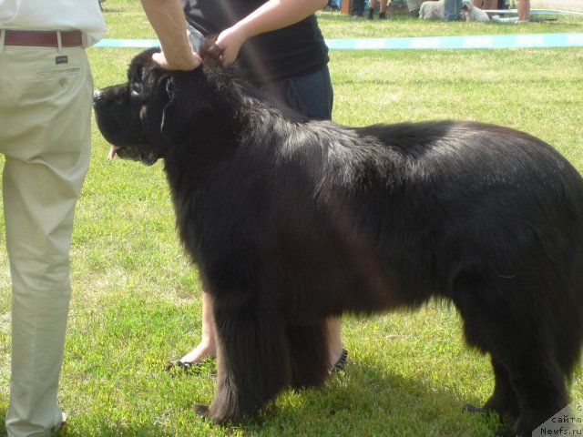 Фотография № 72962