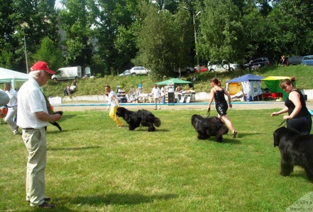 Фотография № 72965