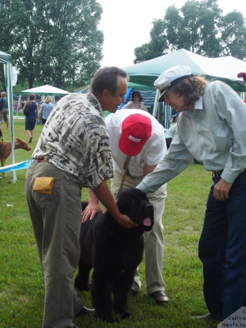 Фотография № 72968