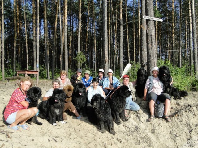 Фото: ньюфаундленд Akin Soul Sofiya (Акин Соул София), ньюфаундленд Lesnaya Skazka Lunnaya Sonata (Лесная Сказка Лунная Соната), ньюфаундленд Blestyaschaya Brina (Блестящая Брина), ньюфаундленд Baloven' Sud'byi (Баловень Судьбы), ньюфаундленд Bol'shaya Udacha (Большая Удача), ньюфаундленд N'yufort Lunnyiy Barhat (Ньюфорт Лунный Бархат), ньюфаундленд Baryishnya (Барышня), ньюфаундленд Barhatka Roskoshnaya (Бархатка Роскошная), Tat'yana Prusova (Татьяна Прусова), Vitaliy Perevyishin (Виталий Перевышин), Svetlana Permyakova (Светлана Пермякова), Перевышина Наташа и команда учителей из Красногорска.