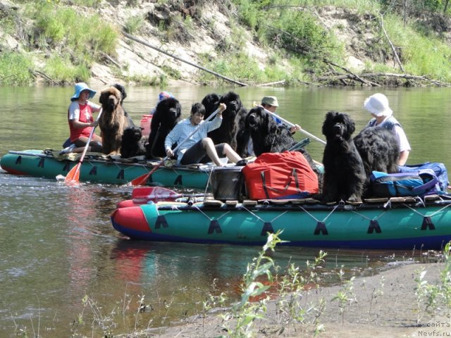 Фотография № 72980