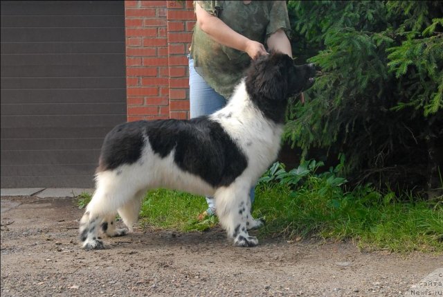 Фотография № 72998