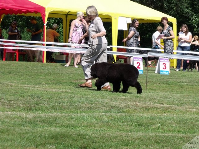 Фотография № 73013