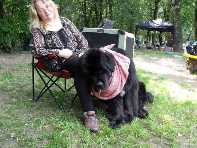 Фото: YUliya YAstrebova (Юлия Ястребова), ньюфаундленд Sent Djons Forrest Gump (Сент Джонс Форрест Гамп)