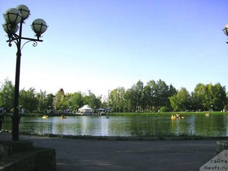 Фотография № 73019