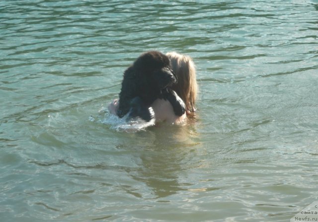 Фотография № 73023