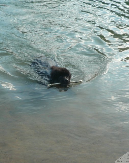 Фотография № 73026