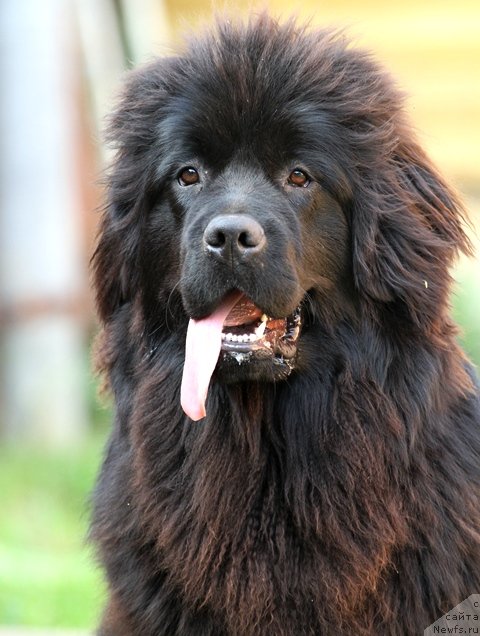 Фотография № 73033