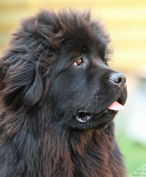 Фотография № 73038