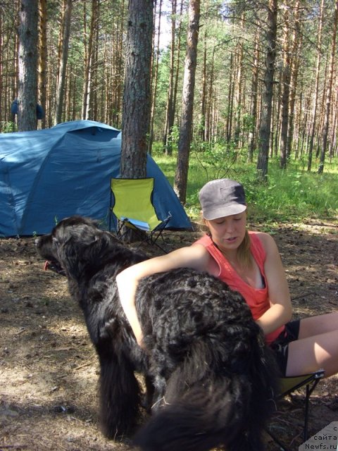 Фото: ньюфаундленд Lesnaya Skazka Lunnaya Sonata (Лесная Сказка Лунная Соната), Лена