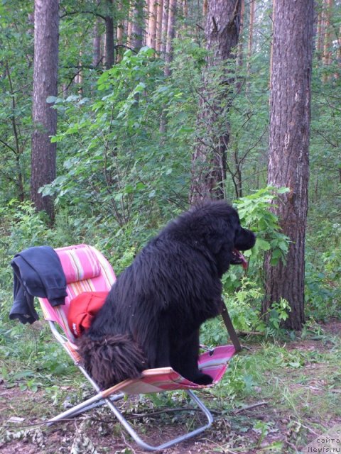 Фотография № 73135