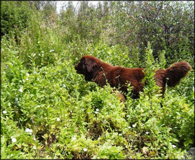 Фотография № 73165