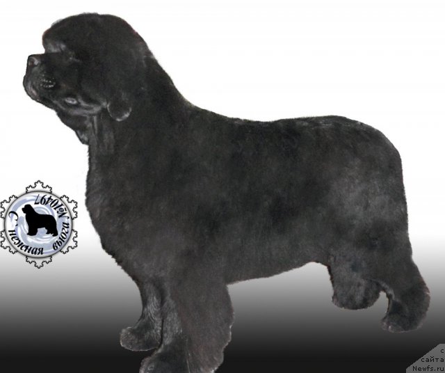 Фотография № 73171