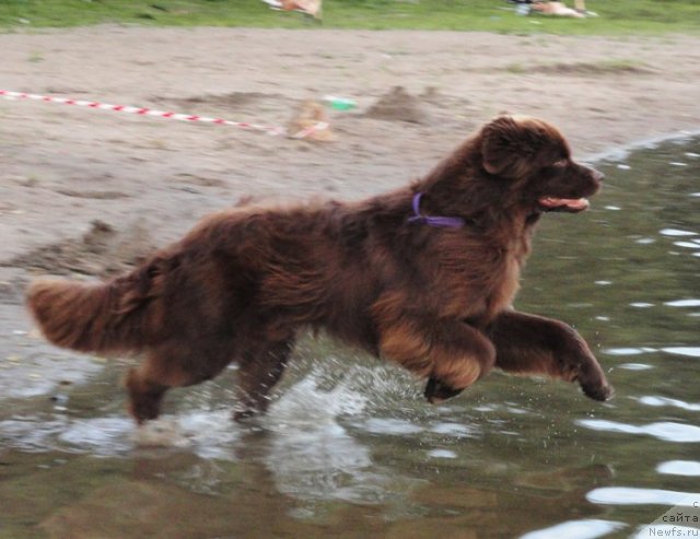 Фотография № 73192