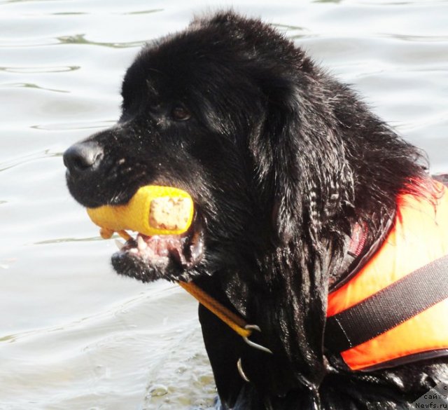 Фотография № 73199