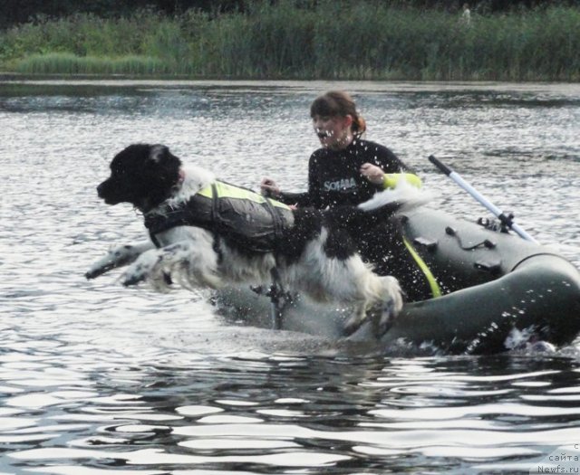 Фотография № 73204