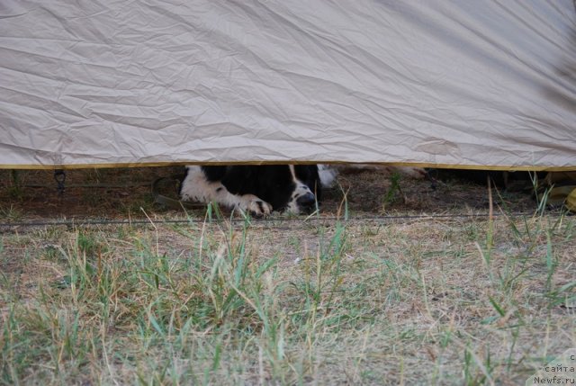 Фотография № 73205