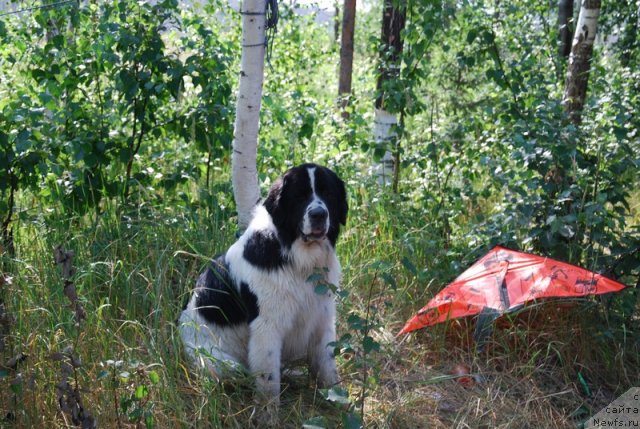 Фотография № 73214