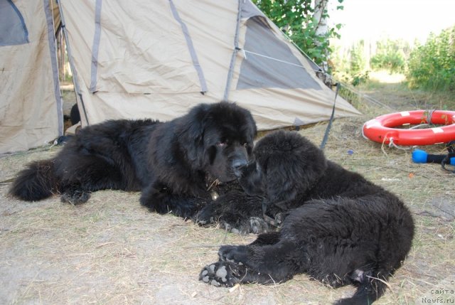 Фотография № 73215