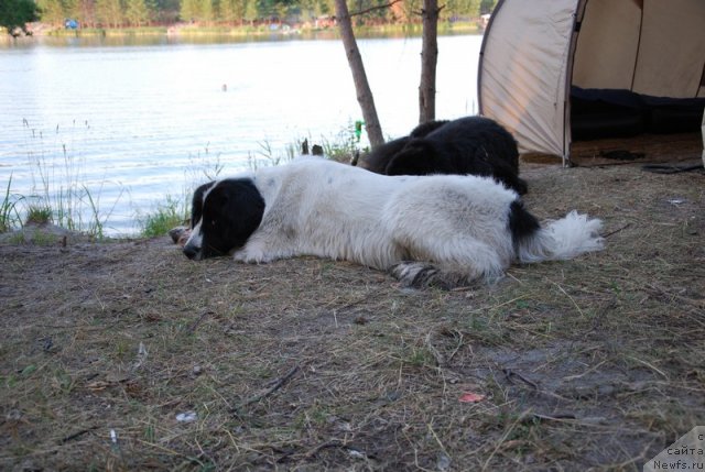 Фотография № 73216