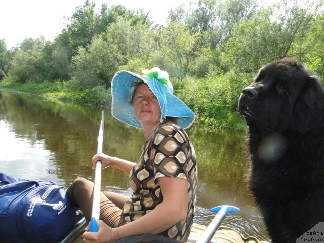 Фото: ньюфаундленд Lesnaya Skazka Lunnaya Sonata (Лесная Сказка Лунная Соната), Svetlana Permyakova (Светлана Пермякова)