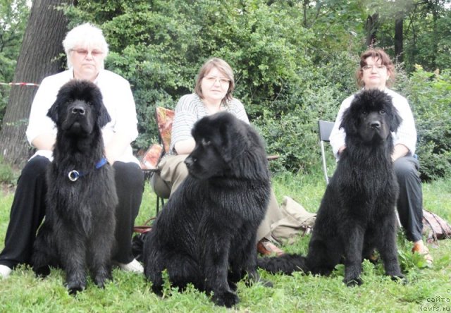 Фотография № 73235