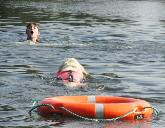 Фотография № 73238