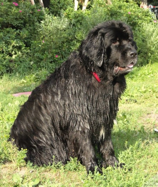 Фотография № 73250