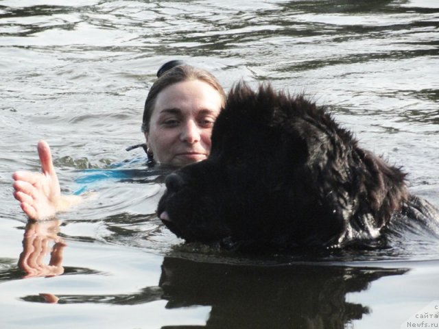 Фотография № 73252