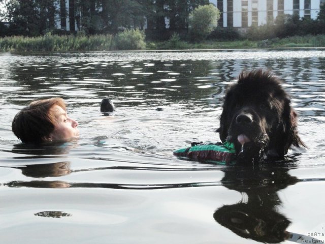 Фотография № 73253