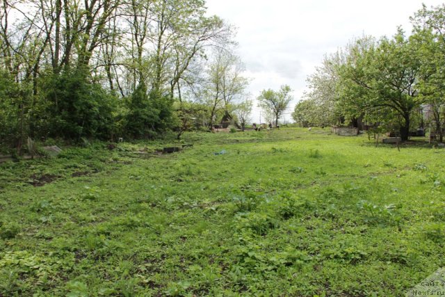 Фотография № 73303