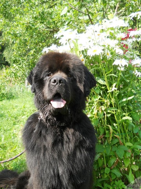 Фотография № 73315