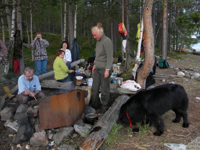Фото: Lyubov' Jakova (Любовь Жакова), ньюфаундленд Aquatoriya Kelvin Kadril (Акватория Келвин Кадриль), и их коллеги