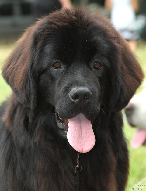 Фотография № 73374