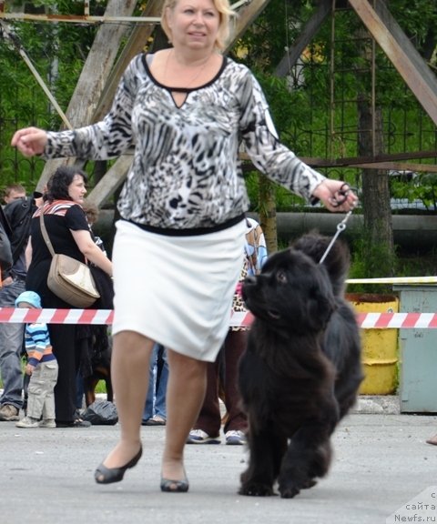 Фотография № 73378