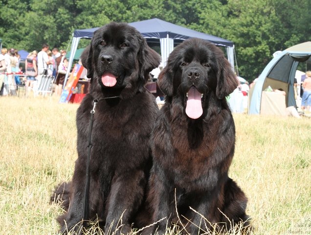 Фотография № 73381