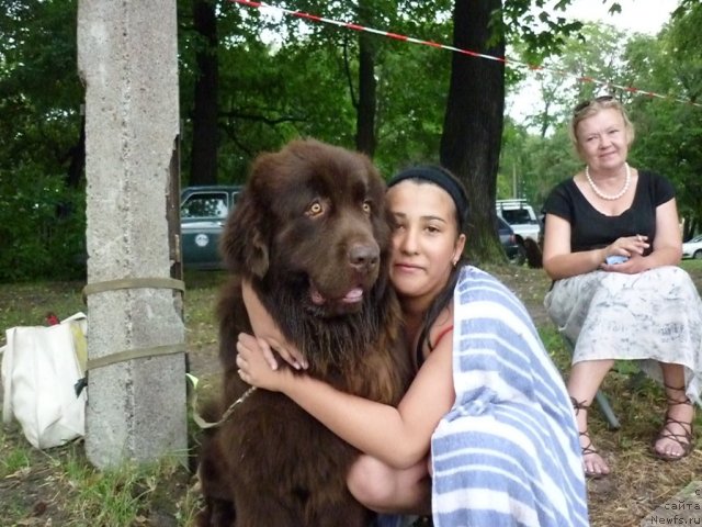 Фотография № 73386