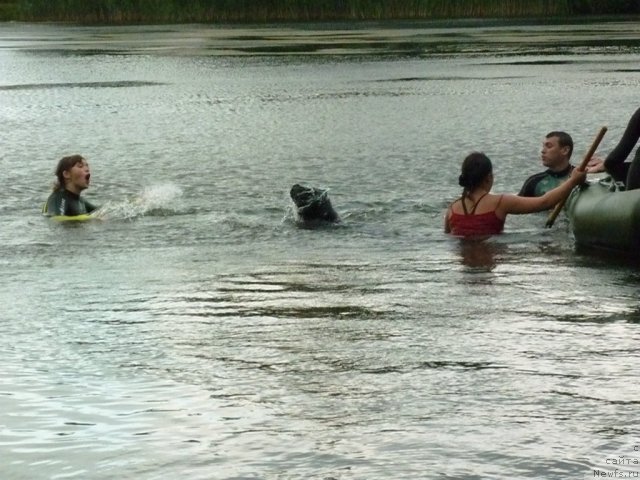 Фотография № 73391