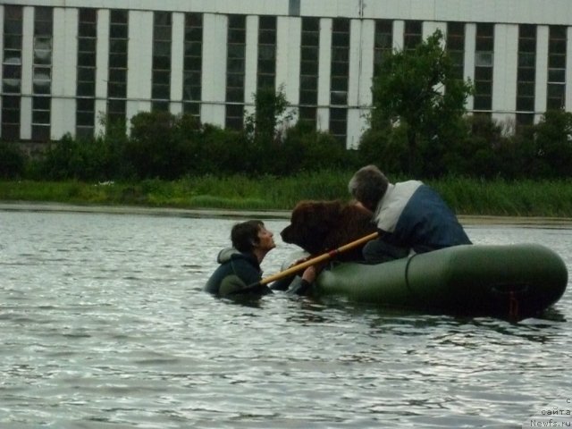 Фотография № 73393