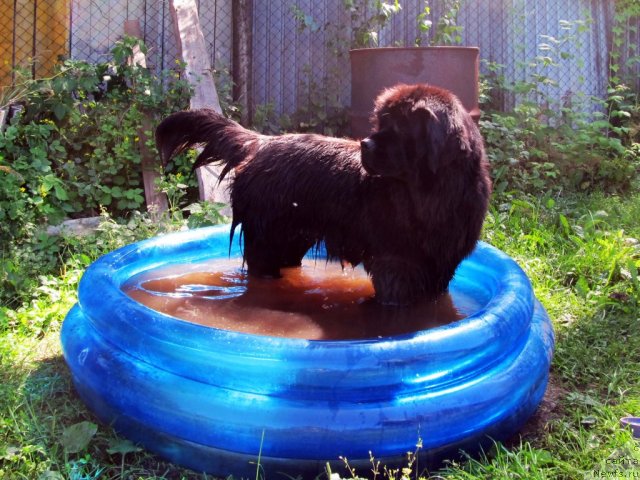 Фотография № 73409