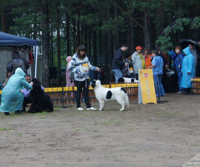 Фотография № 73414